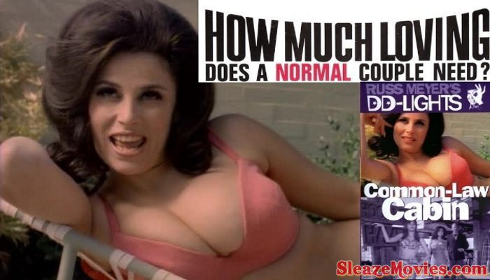 How Much Loving Does a Normal Couple Need? (1967) watch online