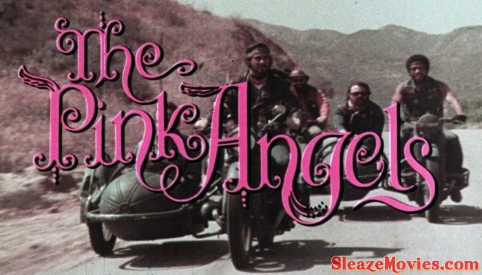 Pink Angels (1972) watch online