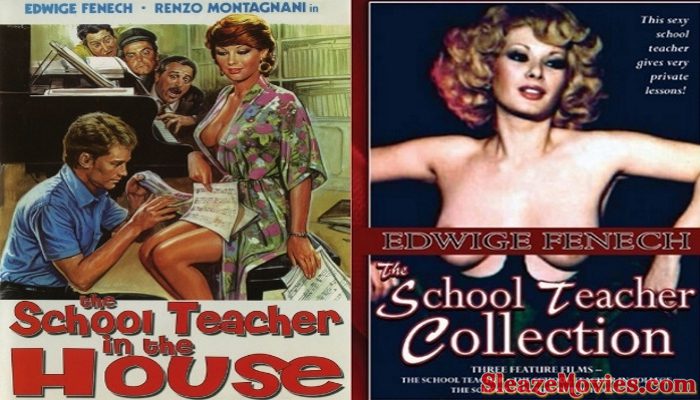 The School Teacher in House (1978) watch online
