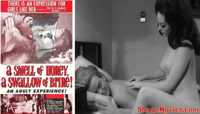 A Smell of Honey, a Swallow of Brine (1966) watch online