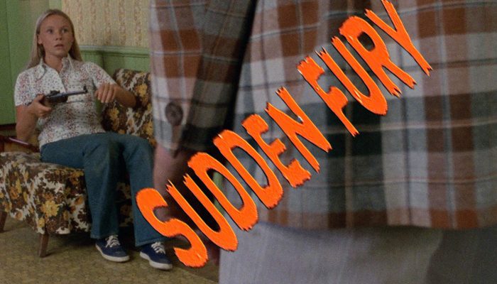 Sudden Fury (1975) watch online