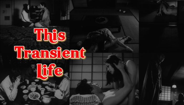 This Transient Life (1970) watch online