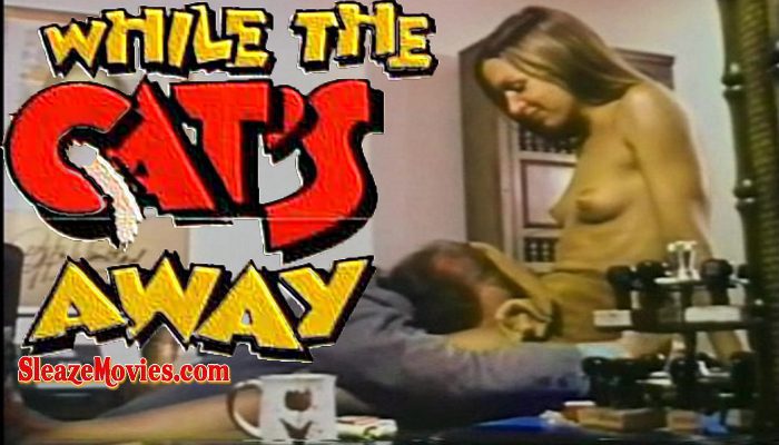 While the Cat’s Away (1972) watch online