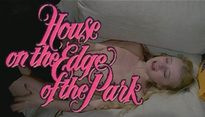 House on the Edge of the Park (1980) watch uncut