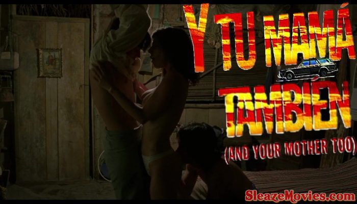 And Your Mother Too (2001) watch online