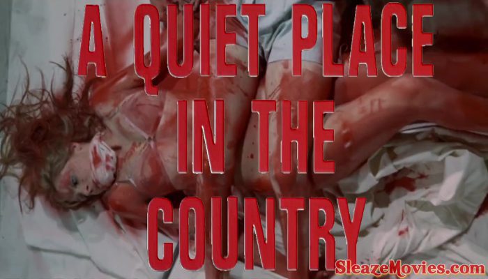 A Quiet Place in the Country (1968) watch online
