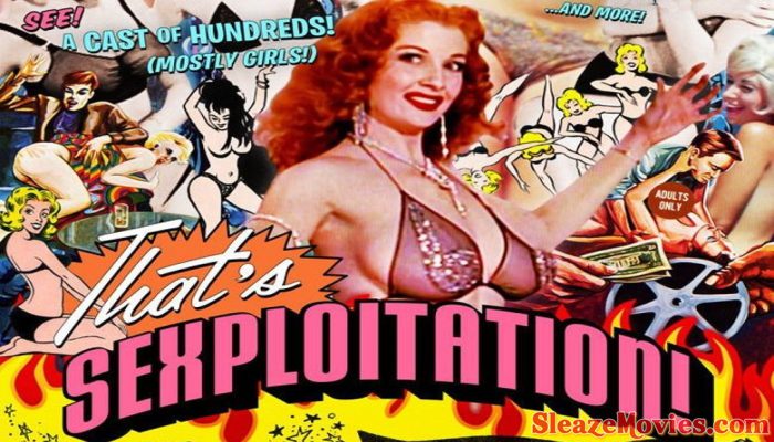 That’s Sexploitation ! (2013) watch online