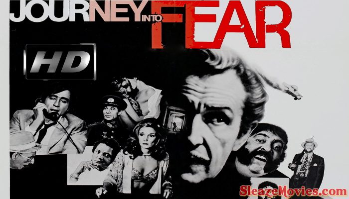 Journey Into Fear (1975) watch online