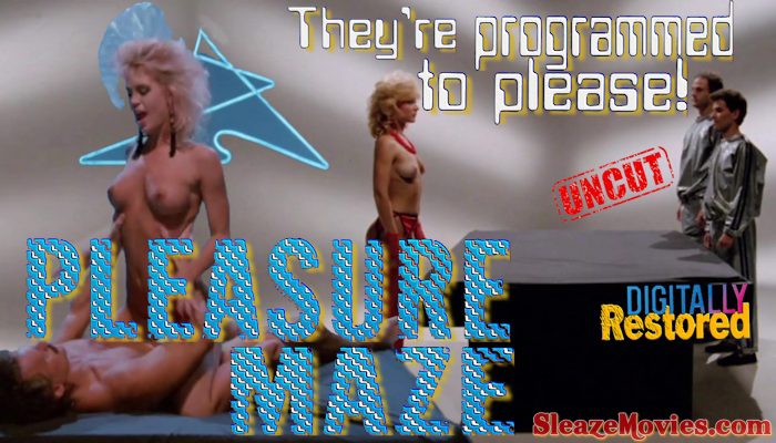 Pleasure Maze (1986) watch uncut